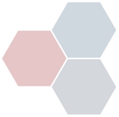 Three decorative hexagonal shapes.