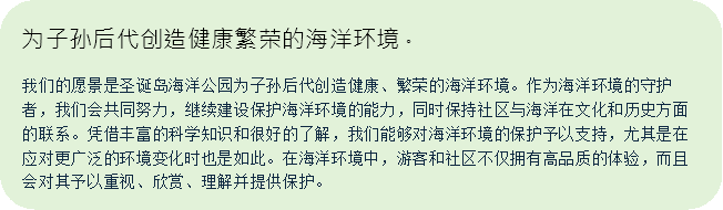 Vision statement translated in Chinese