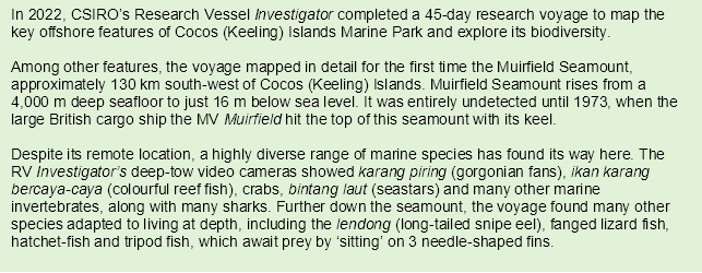 In 2022, CSIRO’s Research Vessel Investigator completed a 45-day research voyage to map the key offshore features of Cocos (Keeling) Islands Marine Park and explore its biodiversity.
Among other features, the voyage mapped in detail for the first time the Muirfield Seamount, approximately 130 km south-west of Cocos (Keeling) Islands. Muirfield Seamount rises from a 4,000 m deep seafloor to just 16 m below sea level. It was entirely undetected until 1973, when the large British cargo ship the MV Muirfield hit the top of this seamount with its keel. 
Despite its remote location, a highly diverse range of marine species has found its way here. The RV Investigator’s deep-tow video cameras showed karang piring (gorgonian fans), ikan karang bercaya-caya (colourful reef fish), crabs, bintang laut (seastars) and many other marine invertebrates, along with many sharks. Further down the seamount, the voyage found many other species adapted to living at depth, including the lendong (long-tailed snipe eel), fanged lizard fish, hatchet-fish and tripod fish, which await prey by ‘sitting’ on 3 needle-shaped fins.