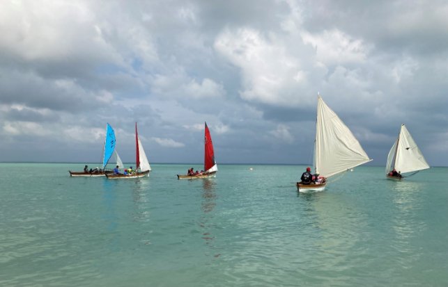 Jukong sailing boats in the water.