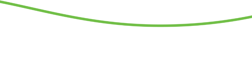 Decorative green line