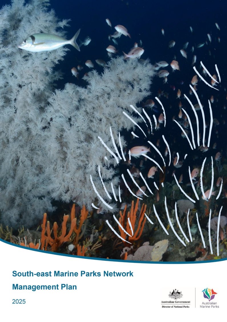 Front cover image featuring a photographic image of Large black coral, jackass morwong and school of butterfly perch at Joe’s Reef, Freycinet Marine Park (James Parkinson), followed by text that reads: 
South-east Marine Parks Network Management Plan 2025 and a combined Director of National Parks and Australian Marine Parks Logo lock up