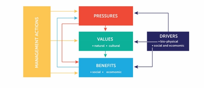 Figure 3.1 illustrates the Australian Marine Park management model. The diagram shows the relationships between management actions, pressures, values, benefits and external drivers. 