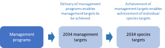 A flow chart showing the general sequence of: delivery of management actions (grouped into management programs), leading to achievement of 2034 management targets, which in turn leads to achievement of individual 2034 species targets.