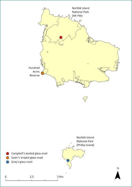 A map showing the known distribution of threatened molluscs on the Norfolk Island Group. Campbell’s keeled glass-snail occurs in the Mt Pitt section of the national park, in the northwest of Norfolk Island. Suter’s striped glass-snail occurs in Hundred Acres Reserve, in the southwest of Norfolk Island. Gray’s glass-snail occurs on Phillip Island, to the south of Norfolk Island.