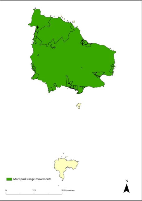 A map showing that the range of the morepork owl extends across the entirety of Norfolk Island.