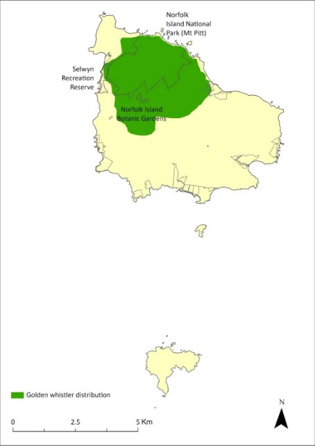 A map showing the distribution of the Norfolk Island golden whistler. The species occurs in the Mt Pitt section of the National Park on the northwest of Norfolk Island, with their distribution extending southeast out of the park to the centre of the island.