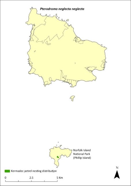 A map showing the distribution of Kermadec petrel nesting in the Norfolk Island Group. The species is known to occur on Phillip Island to the south of Norfolk Island.
