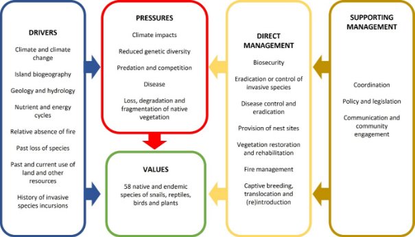 A simplified conceptual model of the pressures, drivers, and management that influence the state of threatened species on the Norfolk Island Group. Moving from left to right are the drivers (blue) including climate change, Island biogeography, land use, etc. acting on pressures (red) and values (green). Moving from right to left are the supporting management actions (gold) acting on direct management actions (yellow), which then also act on pressures and values. 