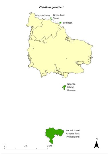 Map of the distribution of Christinus guentheri. Green shading shows indicates the islands on which the species has been recorded, including: Phillip Island, Nepean Island, Moo-oo Stone, Green Pool Stone and Bird Rock.