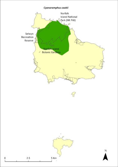 Map of the distribution of Cyanoramphus cookii. Green shading shows the stronghold for the population is within the Mt Pitt Section of the Norfolk Island National Park, the Botanic Gardens, and surrounding areas.