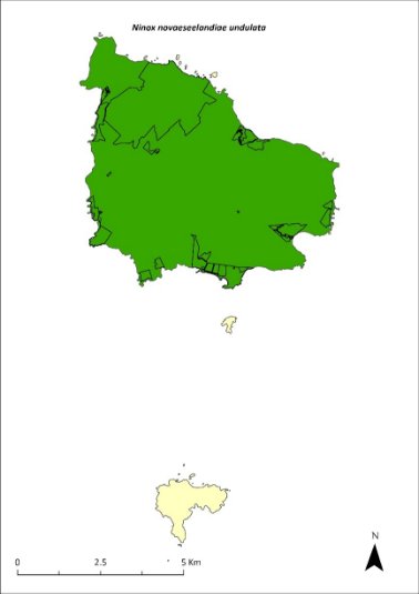 Map of the range movements of morepork owls. Green shading shows that moreporks range across the entirety of Norfolk Island. 