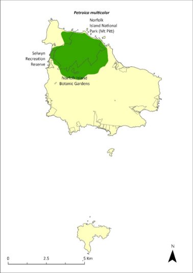 Map of the distribution of Petroica multicolor. Green shading shows the approximate current range of the robin within the Mt Pitt section of the Norfolk Island National Park, the Botanic Gardens, and surrounding areas.