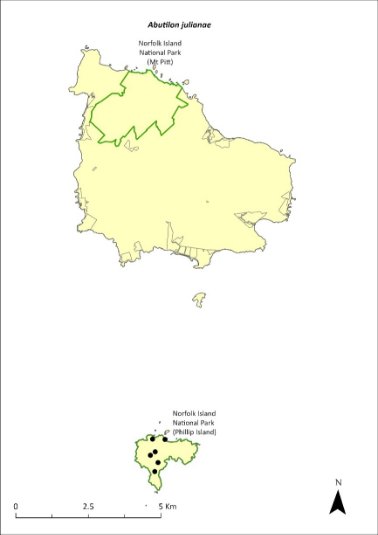 Map of the distribution of Abutilon julianae. Green outlines show the species occurs with the Norfolk Island National Park, both the Mt Pitt section and Phillip Island.