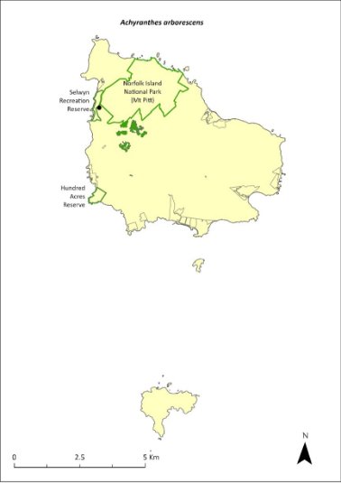 Map of the distribution of Achyranthes arborescens. Green outlines indicate the reserves the species occurs (Norfolk Island National Park (Mt Pitt), Selwyn and Hundred Acres reserves). 