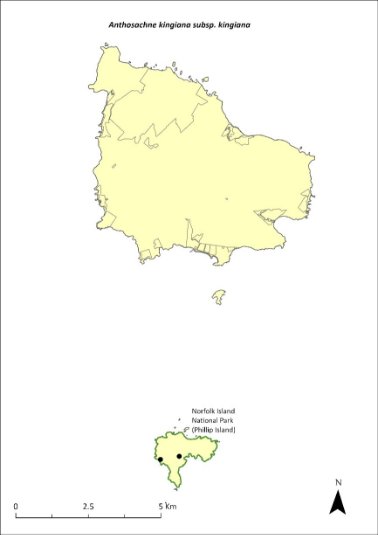 Map of the distribution of Anthosachne kingiana subsp. kingiana. A green outline shows the species occurs on Phillip Island.