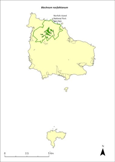 Map of the distribution of Blechnum norfolkianum. Green shading shows plant communities within which the species may occur within Norfolk Island National Park (Mt Pitt section).