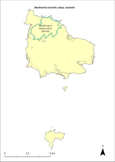 Map of the distribution of Boehmeria australis subsp. australis. A green outline indicates that the species occurs within Norfolk Island National Park (Mt Pitt section).