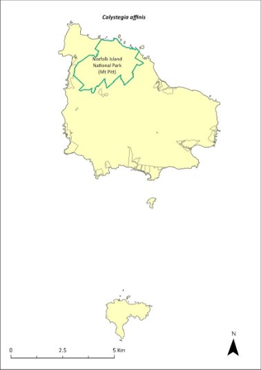 Map of the distribution of Calystegia affinis. A green outline indicates that the species occurs within Norfolk Island National Park (Mt Pitt section).