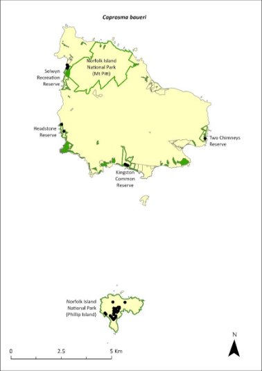 Map of the distribution of Coprosma baueri. Green outlines indicate reserves within which the species occurs, including Norfolk Island National Park (both Mt Pitt section and Phillip Island), and Selwyn, Headstone, Kingston Common and Two Chimneys reserves.