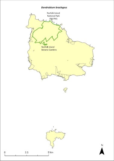 Map of the distribution of Dendrobium brachypus. A green outline indicates that the species occurs within Norfolk Island National Park (Mt Pitt section) and the Norfolk Island Botanic Gardens.