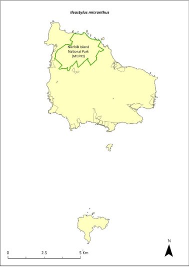 Map of the distribution of Ileostylus micranthus. A green outline indicates that the species occurs within Norfolk Island National Park (Mt Pitt section).