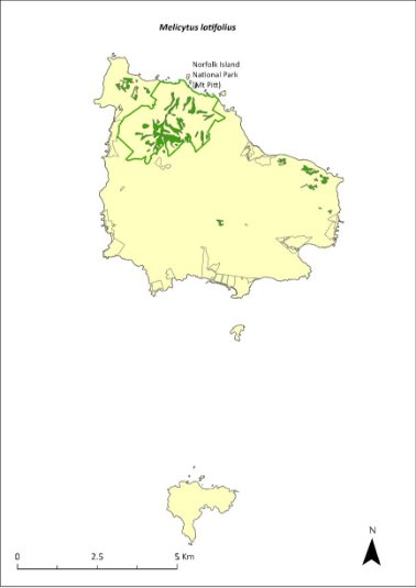 Map of the distribution of Melicytus latifolius. A green outline indicates that the species occurs within Norfolk Island National Park (Mt Pitt section).