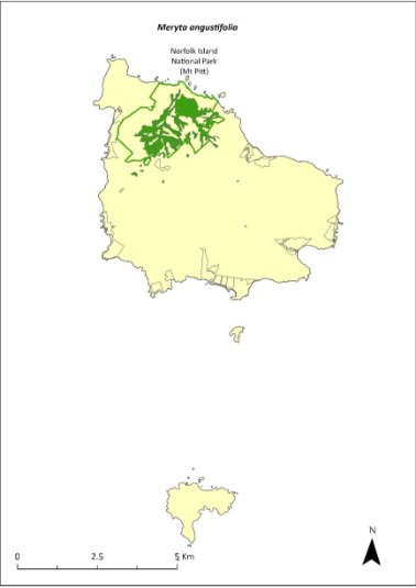 Map of the distribution of Meryta angustifolia. A green outline indicates that the species occurs within Norfolk Island National Park (Mt Pitt section).