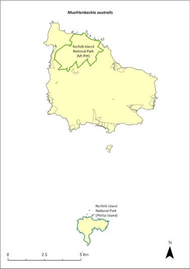 Map of the distribution of Muehlenbeckia australis. Green outlines indicate the reserves the species occurs (Norfolk Island National Park, both the Mt Pitt section and Phillip Island).