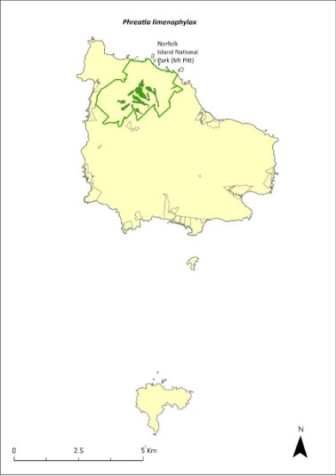 Map of the distribution of Phreatia limenophylax. A green outline indicates that the species occurs within Norfolk Island National Park (Mt Pitt section).