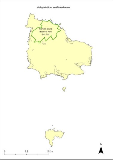 Map of the distribution of Polyphlebium endlicherianum. A green outline indicates that the species occurs within Norfolk Island National Park (Mt Pitt section).