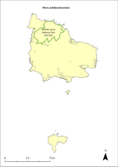 Map of the distribution of Pteris zahlbruckneriana. A green outline indicates that the species occurs within Norfolk Island National Park (Mt Pitt section).