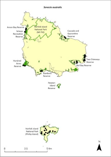 Map of the distribution of Senecio australis. Green outlines indicate reserves within which the species occurs, including Norfolk Island National Park (both Mt Pitt section and Phillip Island), and Anson Bay, Selwyn, Hundred Acres, Bumbora, Ball Bay, Two Chimneys and Cascade and Quarantine reserves.