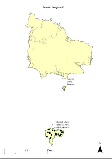 Map of the distribution of Senecio hooglandii. A green outline indicates that the species occurs within Norfolk Island National Park (Phillip Island).