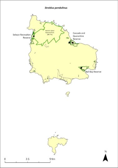 Map of the distribution of Streblus pendulinus. Green outlines indicate reserves within which the species occurs, including Norfolk Island National Park (Mt Pitt section), and Selwyn, Headstone, Ball Bay, and Cascade and Quarantine reserves.
