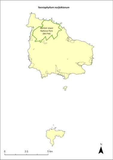 Map of the distribution of Taeniophyllum norfolkianum. A green outline indicates that the species occurs within Norfolk Island National Park (Mt Pitt section).