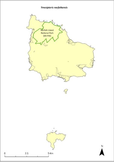 Map of the distribution of Tmesipteris norfolkensis. A green outline indicates that the species occurs within Norfolk Island National Park (Mt Pitt section).
