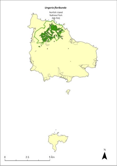 Map of the distribution of Ungeria floribunda. A green outline indicates that the species occurs within Norfolk Island National Park (Mt Pitt section).