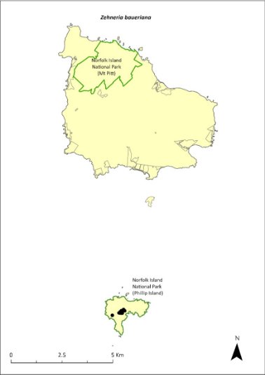 Map of the distribution of Zehneria baueriana. Green outlines indicate the reserves the species occurs (Norfolk Island National Park, both the Mt Pitt section and Phillip Island).