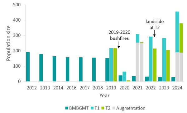 A bar graph showing the year to year population sizes of all three translocated stands. The major population trends are discussed in the text.
