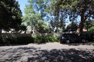 A picture Kirribilli Avenue street view looking towards Kirribilli House, surrounded by its timber paling wall, trees and bushes.