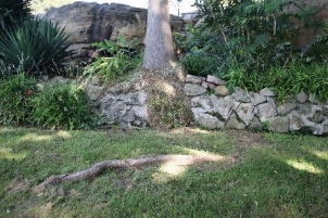A picture of a rock wall with trees, bushes and grass in the surrounds.