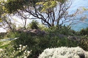 A picture of bushes, flowers and trees close to the harbours water.