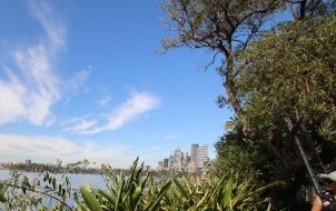 A picture of the blue skies, trees and skyscrappers in the distance from Kirribilli House 