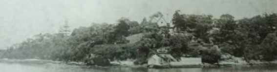 A black and white image from the harbour looking at Kirribilli House, surrounded by large trees and vegetation. 