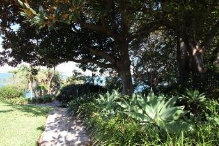 A picture of trees and bushes at Kirribilli House 