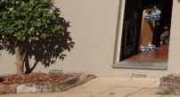 A picture of the garage entry door way with a small tree to the left 