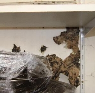 A picture of brown splotches from peeled paint