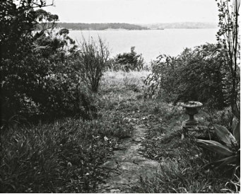 A black and white picture of overgrown bushes and grass at Kirribilli House