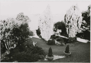 A black and white picture of large trees across the lower gardens at Kirribilli House with two smaller trees by the gardens stair case 